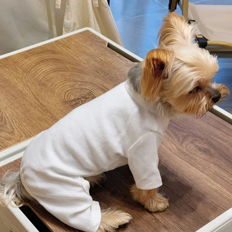 Solid color sweater for dogs