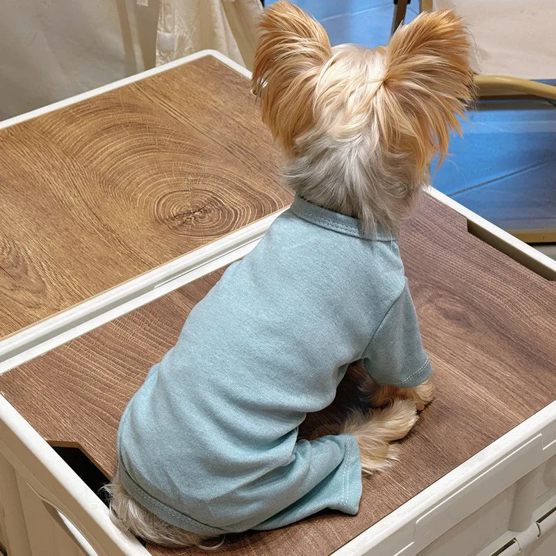 Solid color sweater for dogs