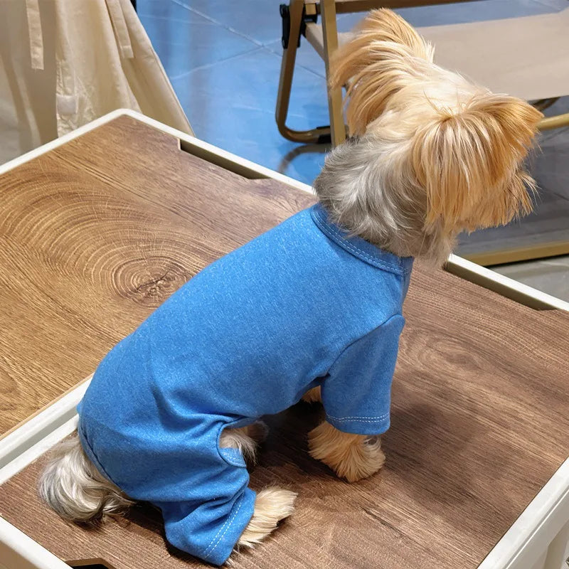 Solid color sweater for dogs