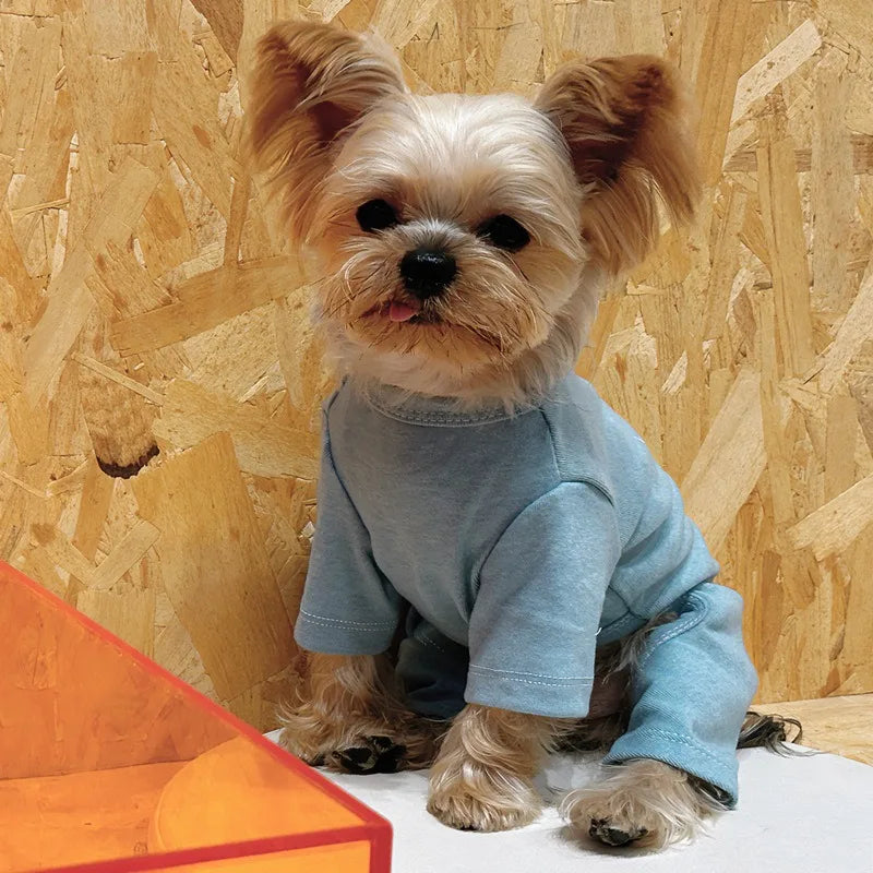 Solid color sweater for dogs