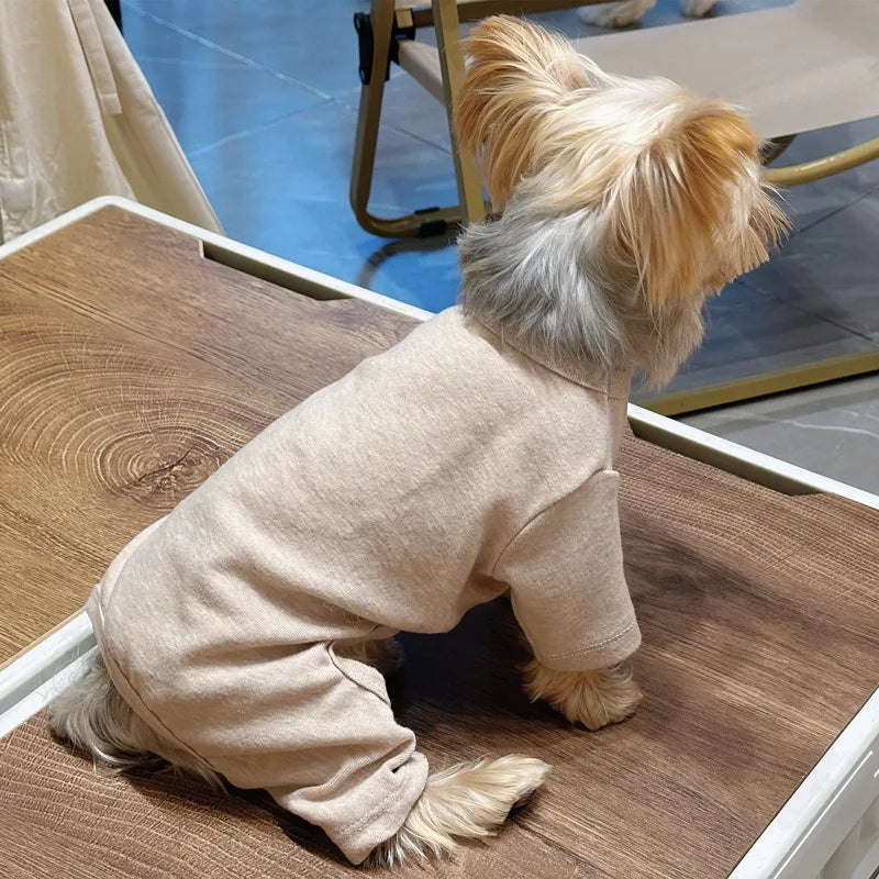 Solid color sweater for dogs