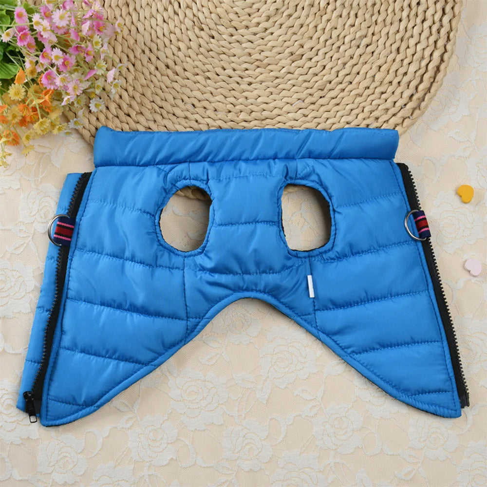 Winter clothes for dogs