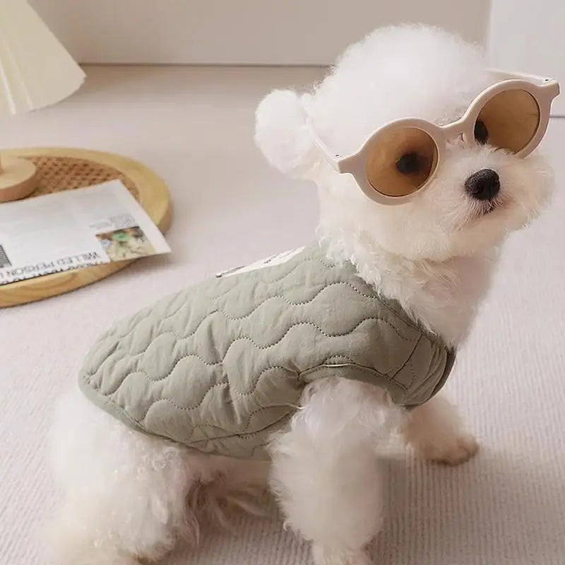 Winter clothes for dogs