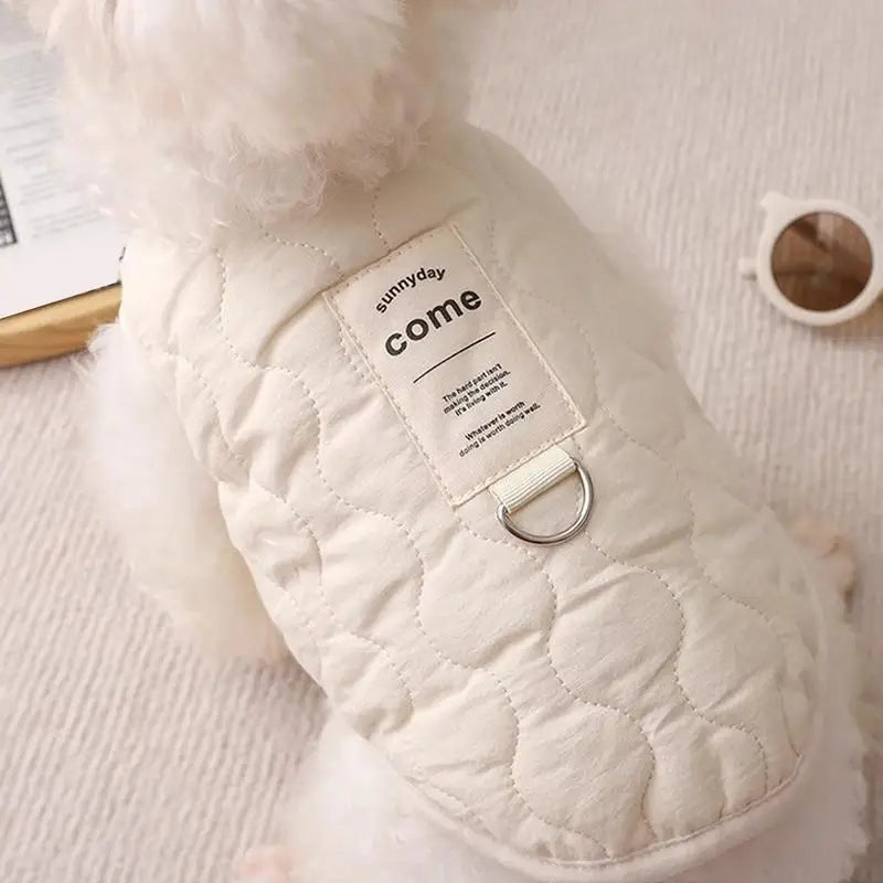 Winter clothes for dogs