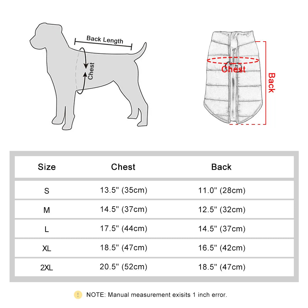 Winter clothes for dogs