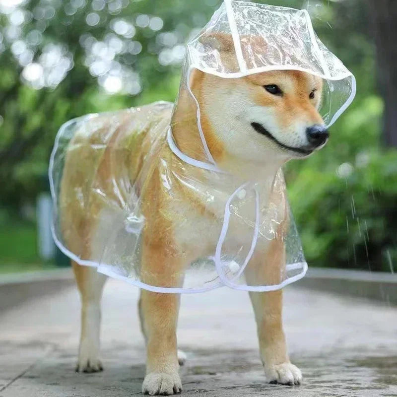 Dog raincoat
