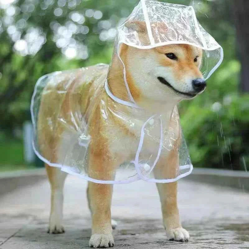 Dog raincoat