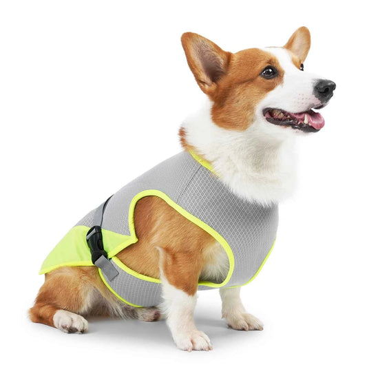 Cooling Dog Vest – Breathable & Adjustable Summer Jacket with Reflective Stripes