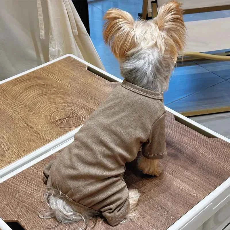 Solid color sweater for dogs