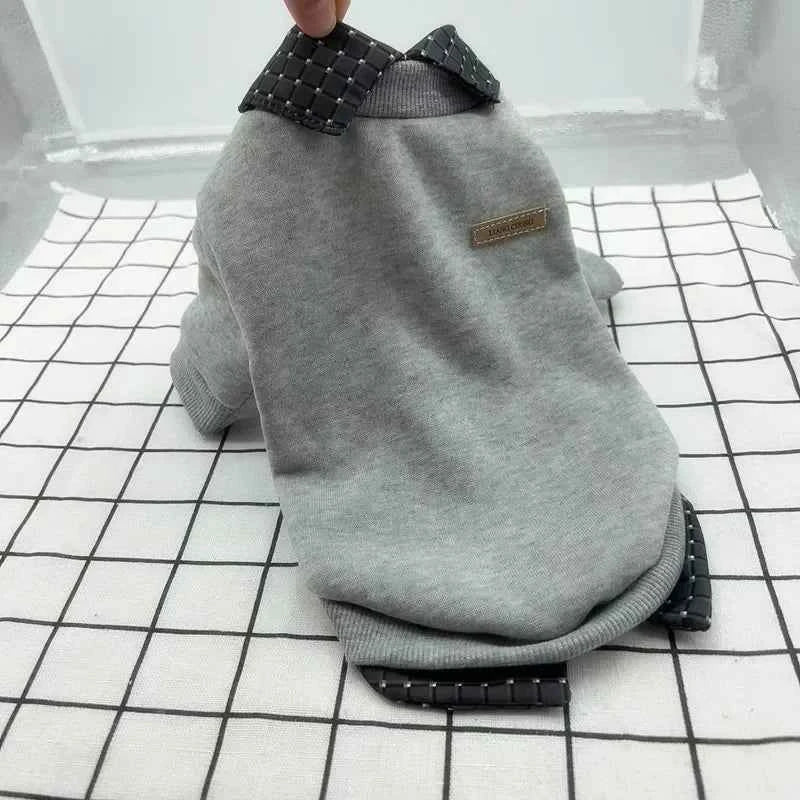 Dog clothes with collar