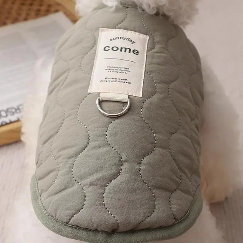 Winter clothes for dogs