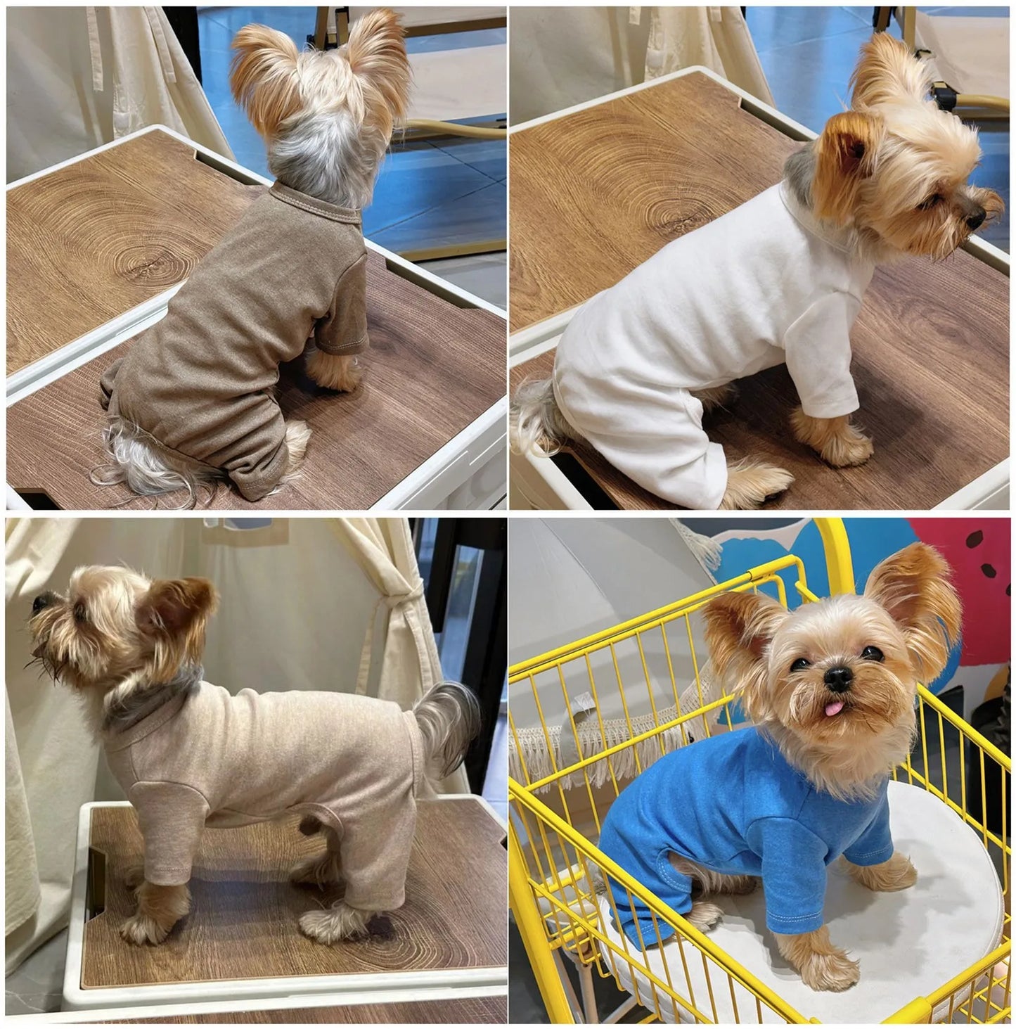 Solid color sweater for dogs