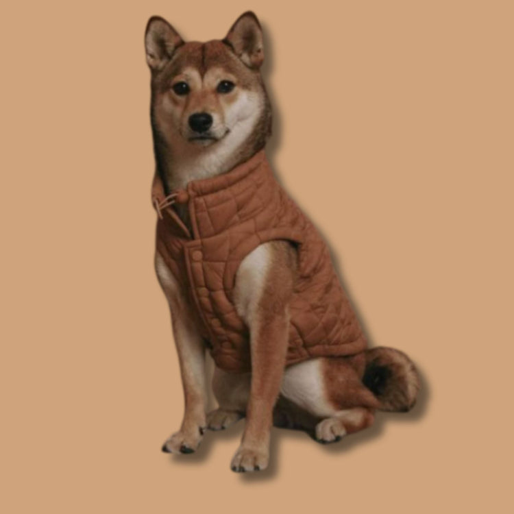 Pet coats