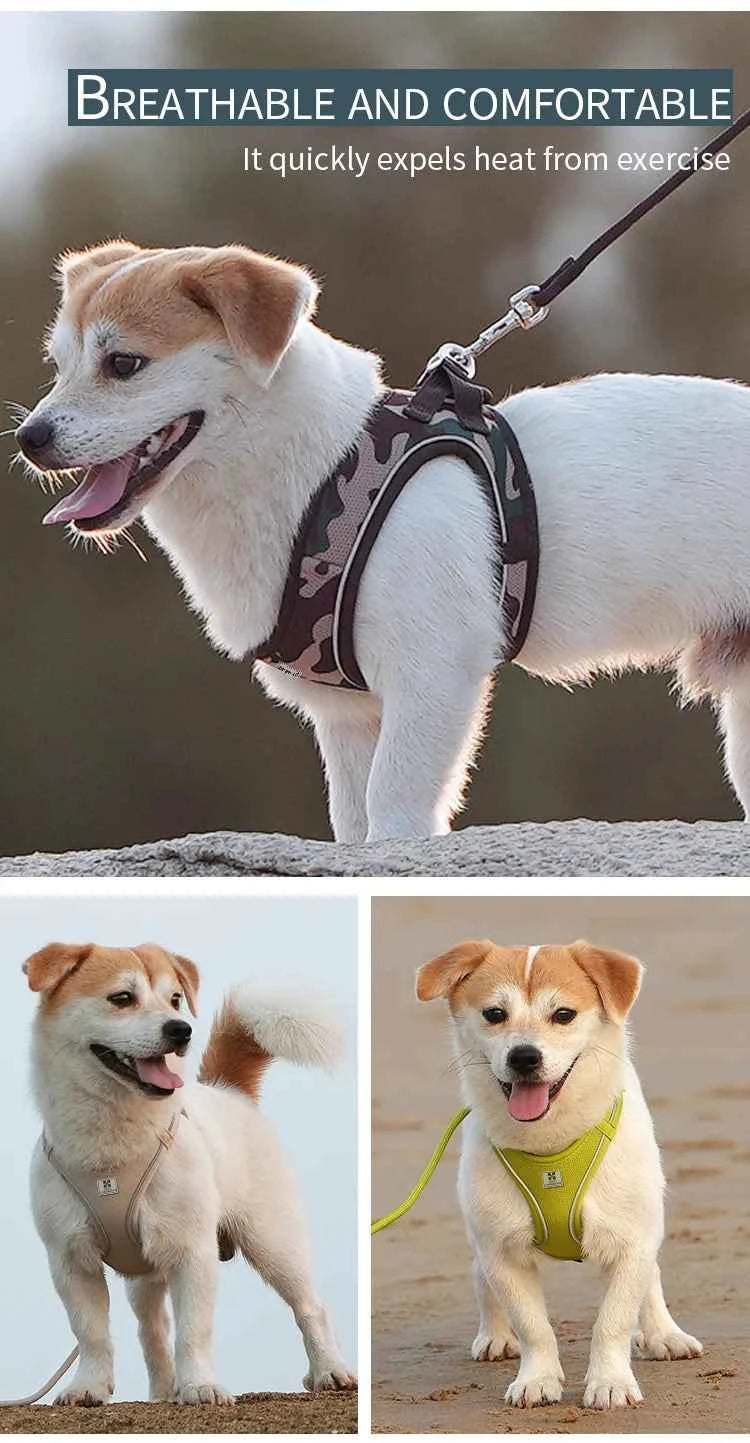 Dog harness and leash – adjustable and reflective set