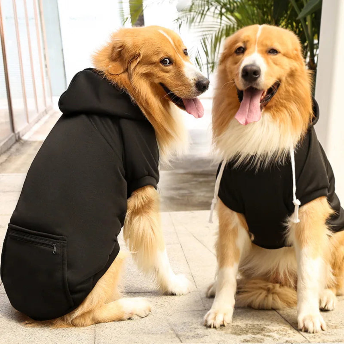 Winter dog coat with hood