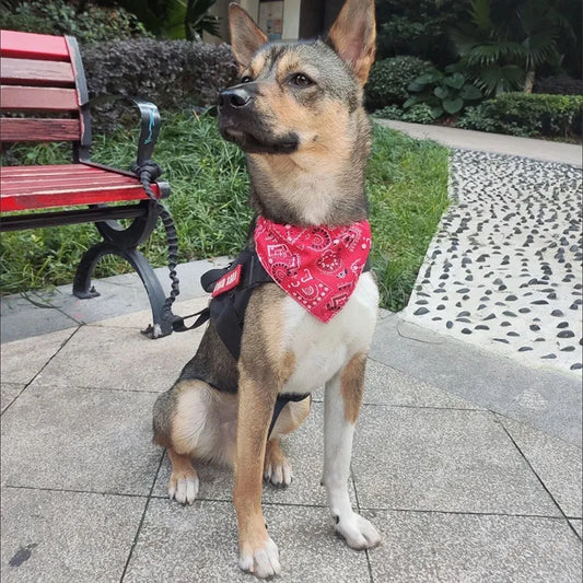 Adjustable bandana / scarf for dogs and cats - washable and stylish accessory