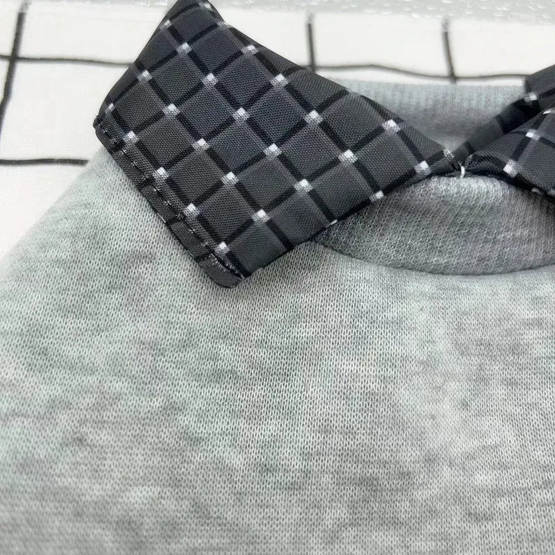 Dog clothes with collar