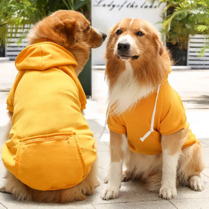 Winter dog coat with hood