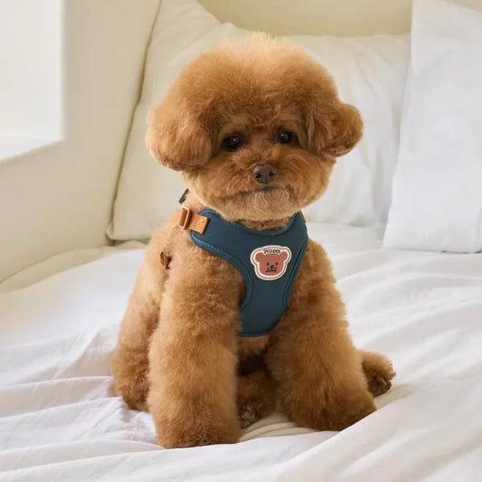Dog harness and leash - breathable bear set