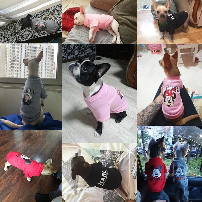 Winter clothes for puppies