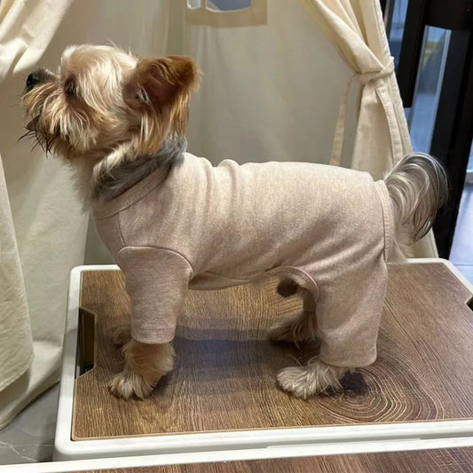Solid color sweater for dogs