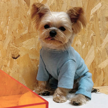 Solid color sweater for dogs