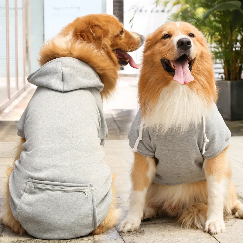 Winter dog coat with hood