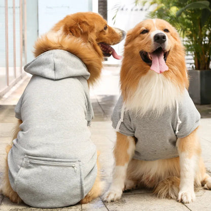 Winter dog coat with hood