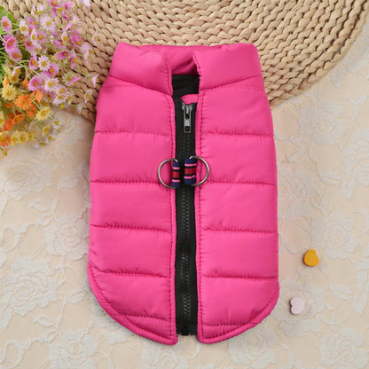 Winter clothes for dogs