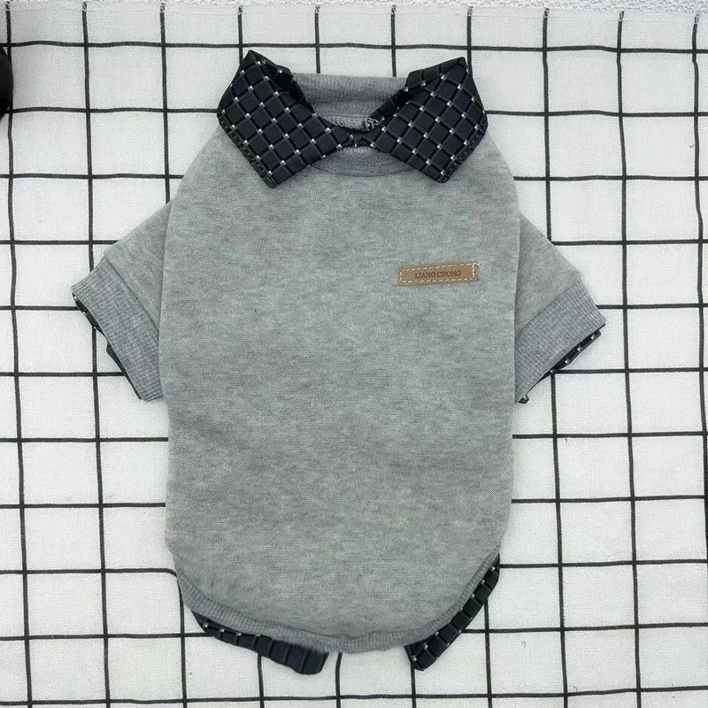 Dog clothes with collar