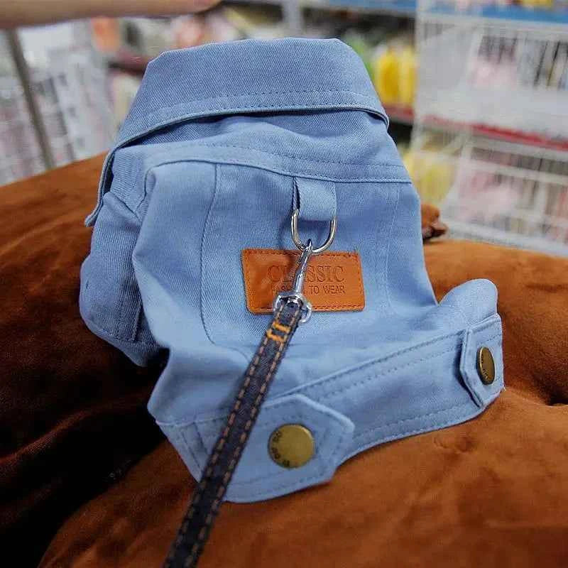 Spring Denim Dog Costume – Coat & Leash for Small Dogs