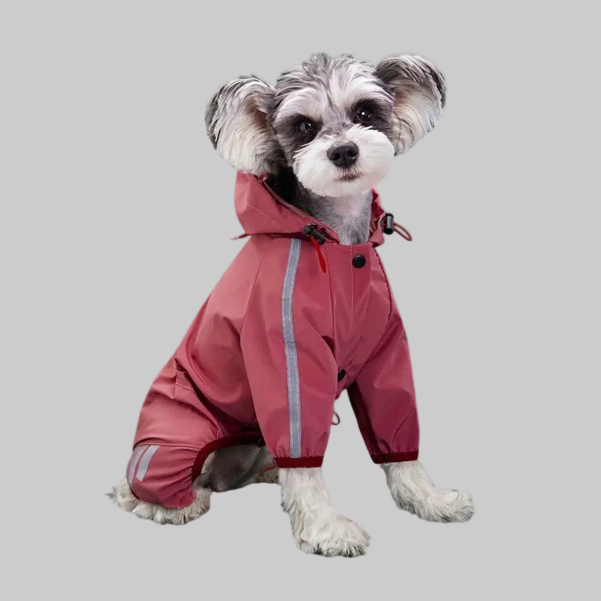Dog raincoat
