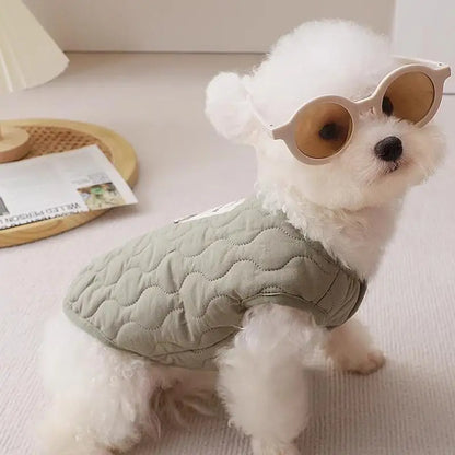 Winter clothes for dogs
