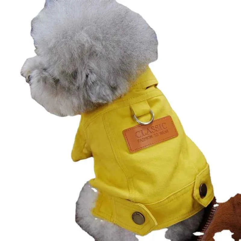 Spring Denim Dog Costume – Coat & Leash for Small Dogs