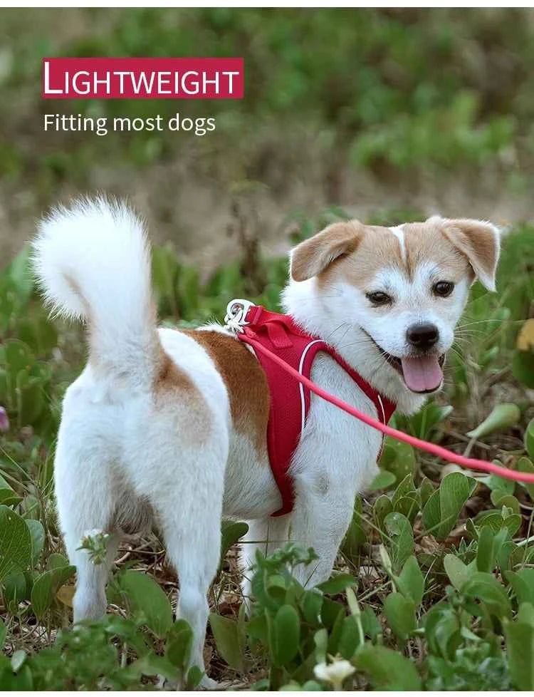 Dog harness and leash – adjustable and reflective set