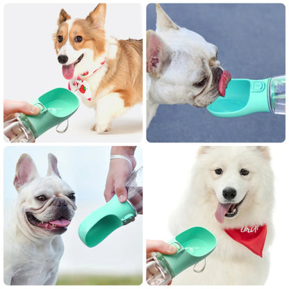 Portable water bottle for pets