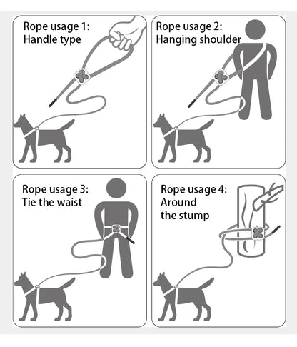 Dog harness and leash – adjustable and reflective set