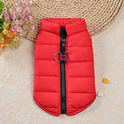 Winter clothes for dogs