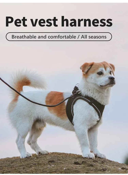 Dog harness and leash – adjustable and reflective set