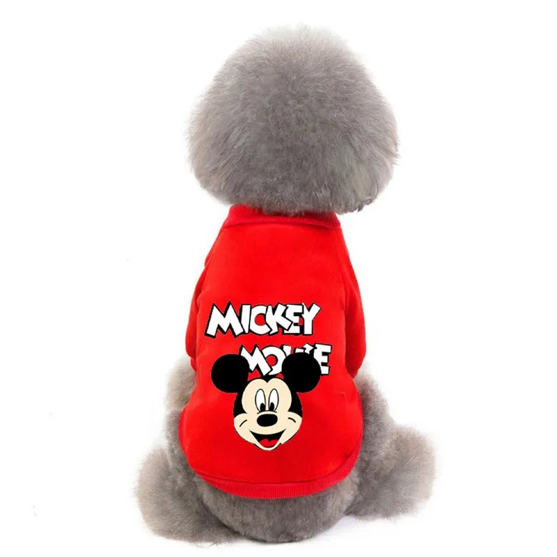 Winter clothes for puppies