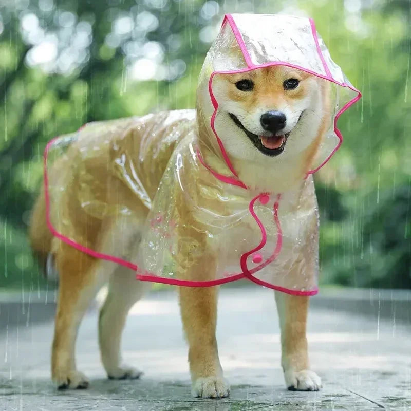 Dog raincoat