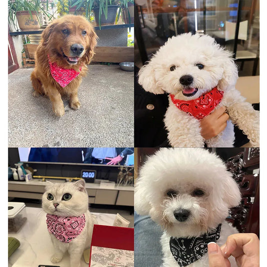 Adjustable bandana / scarf for dogs and cats - washable and stylish accessory
