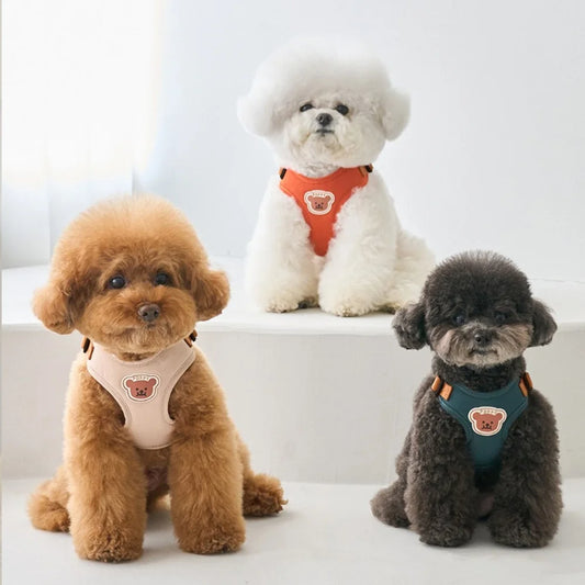 Dog harness and leash - breathable bear set