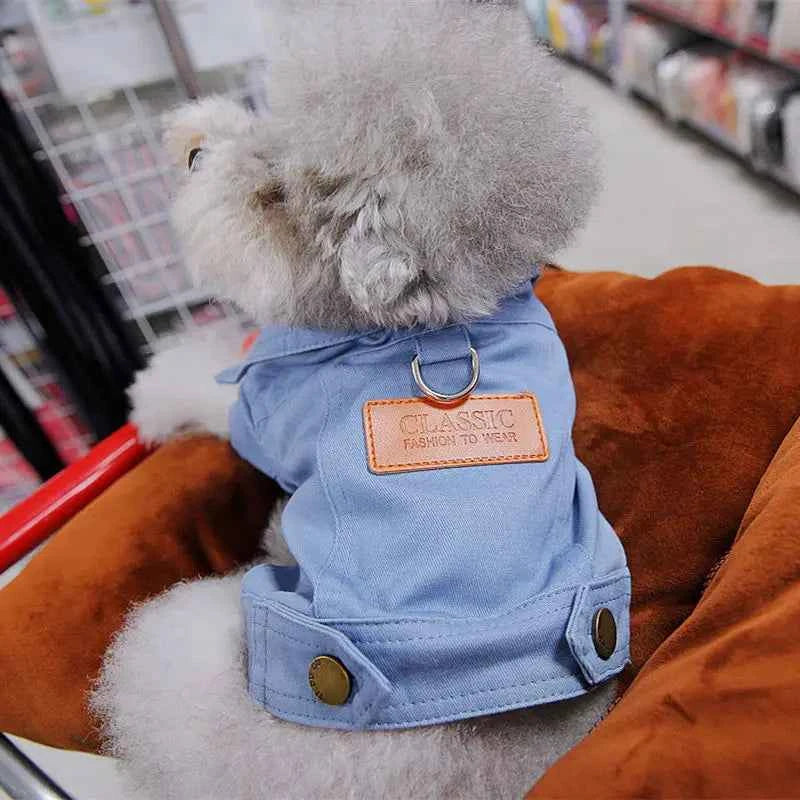 Spring Denim Dog Costume – Coat & Leash for Small Dogs