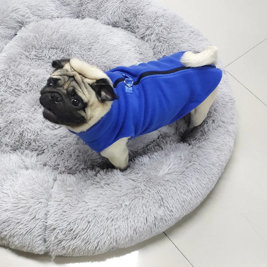Winter fleece clothing for dogs
