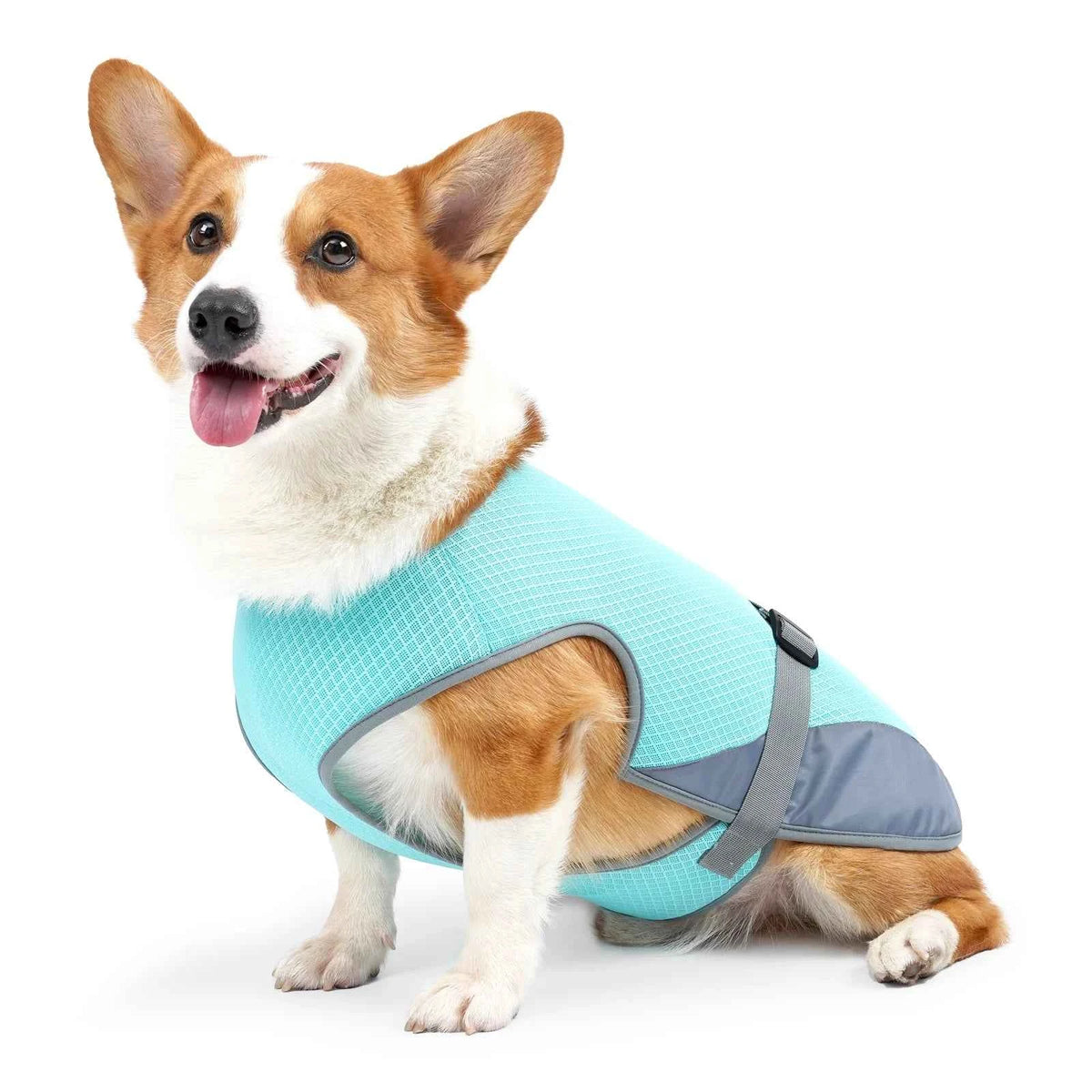 Cooling Dog Vest – Breathable & Adjustable Summer Jacket with Reflective Stripes