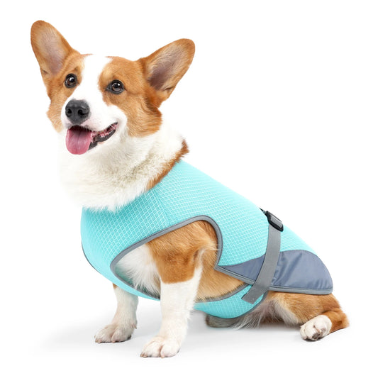 Cooling Dog Vest – Breathable & Adjustable Summer Jacket with Reflective Stripes