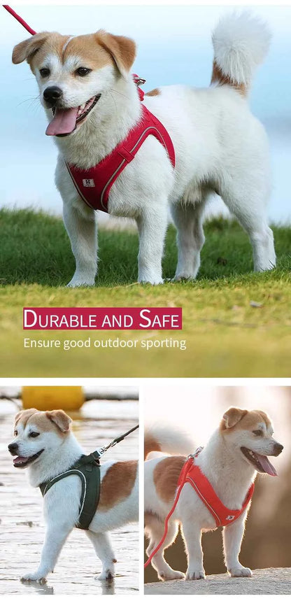 Dog harness and leash – adjustable and reflective set
