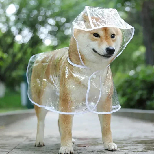Dog raincoat