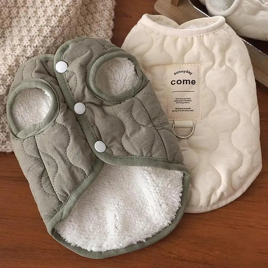 Winter clothes for dogs